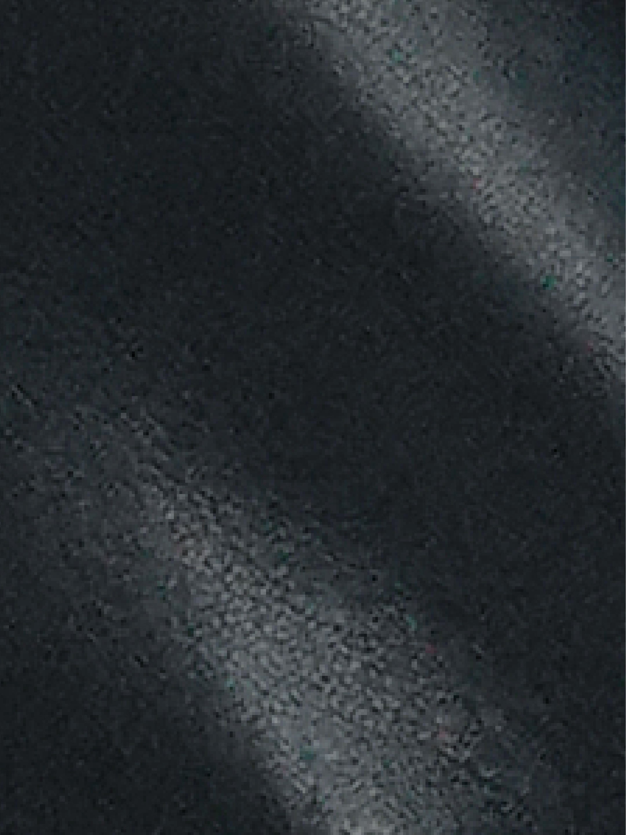 Refined Leather Belted Blazer