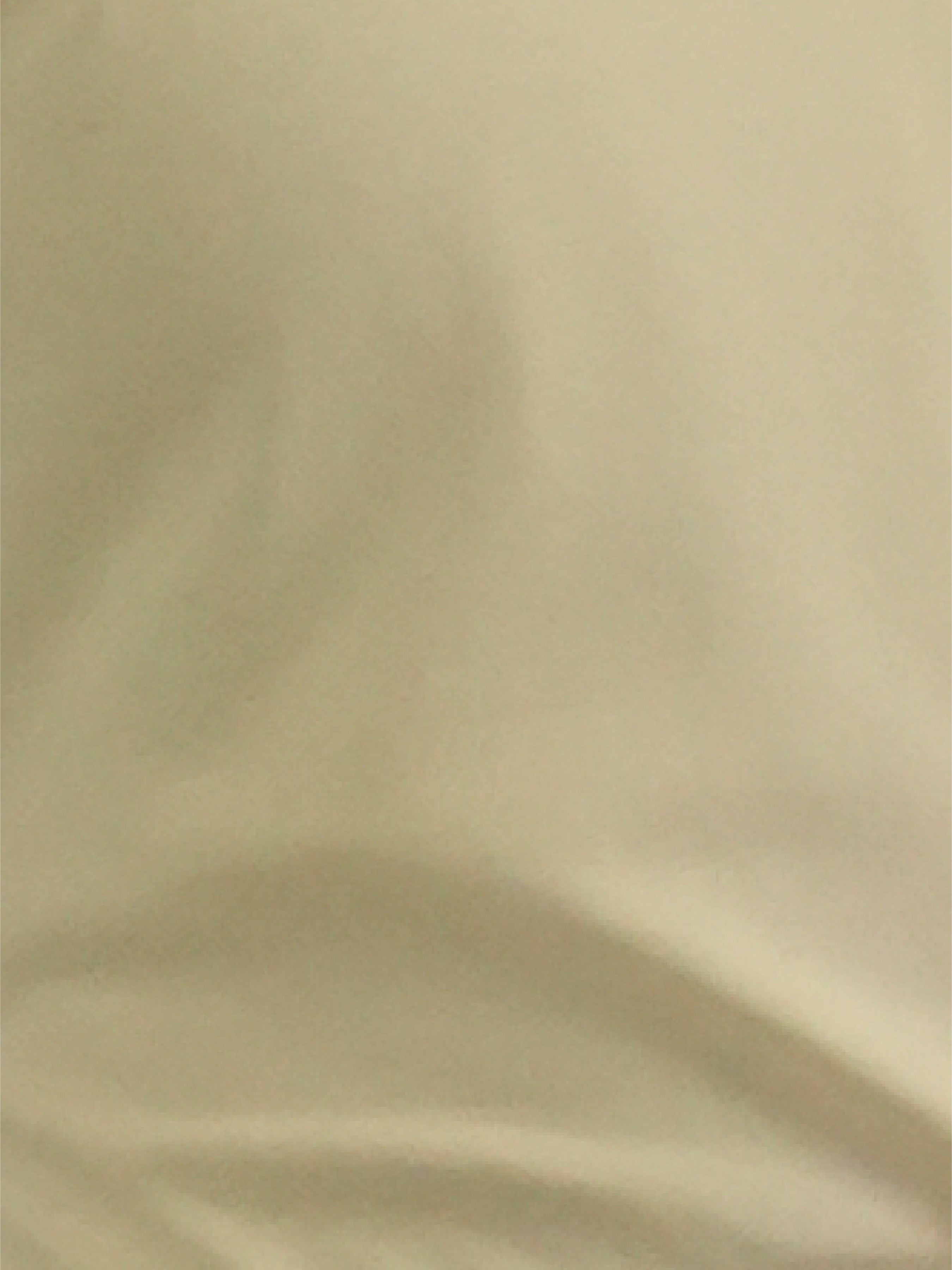 Cotton Ruffle Sleeve V-Neck Top