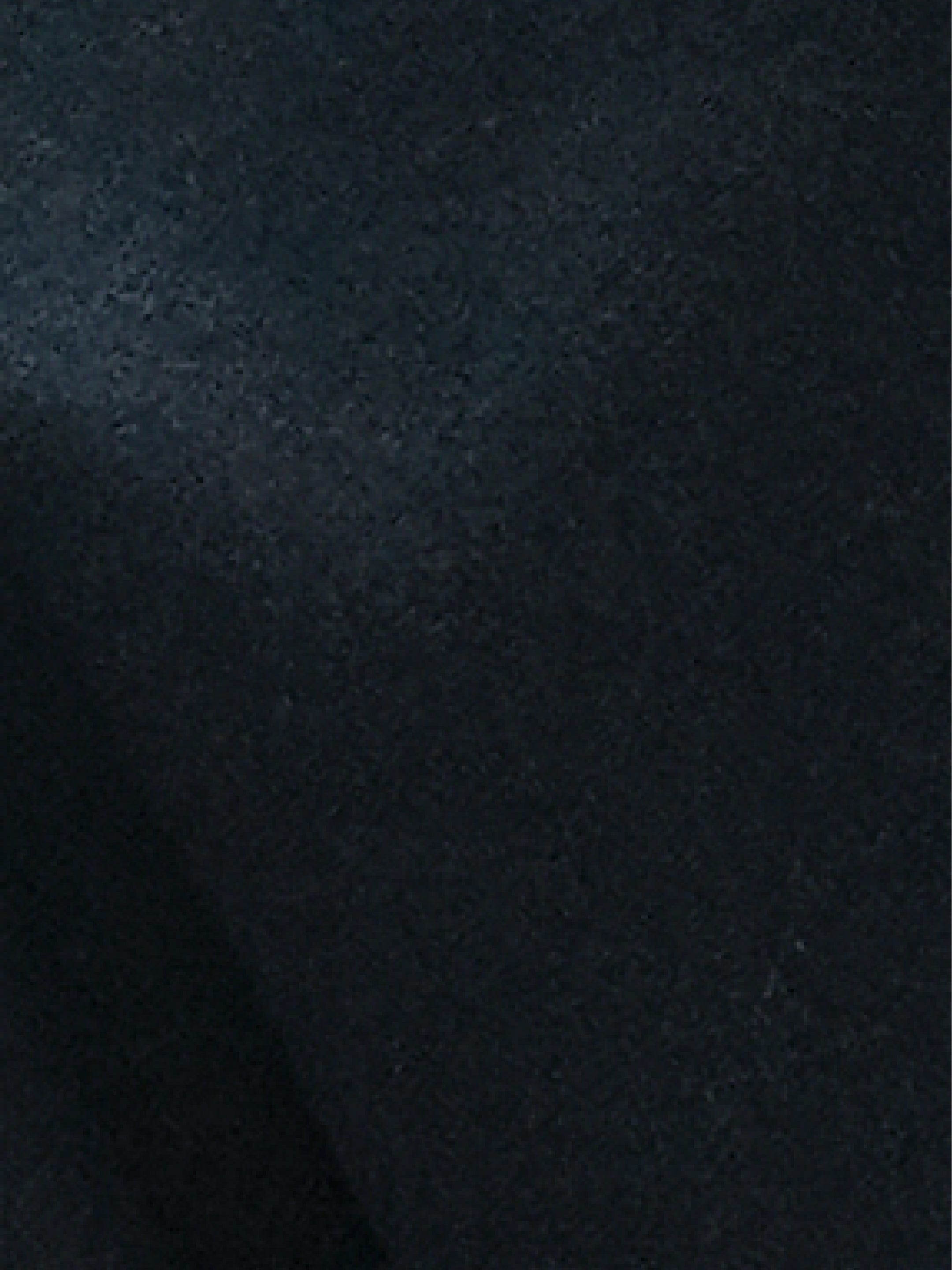 Classic Wool Belted Coat