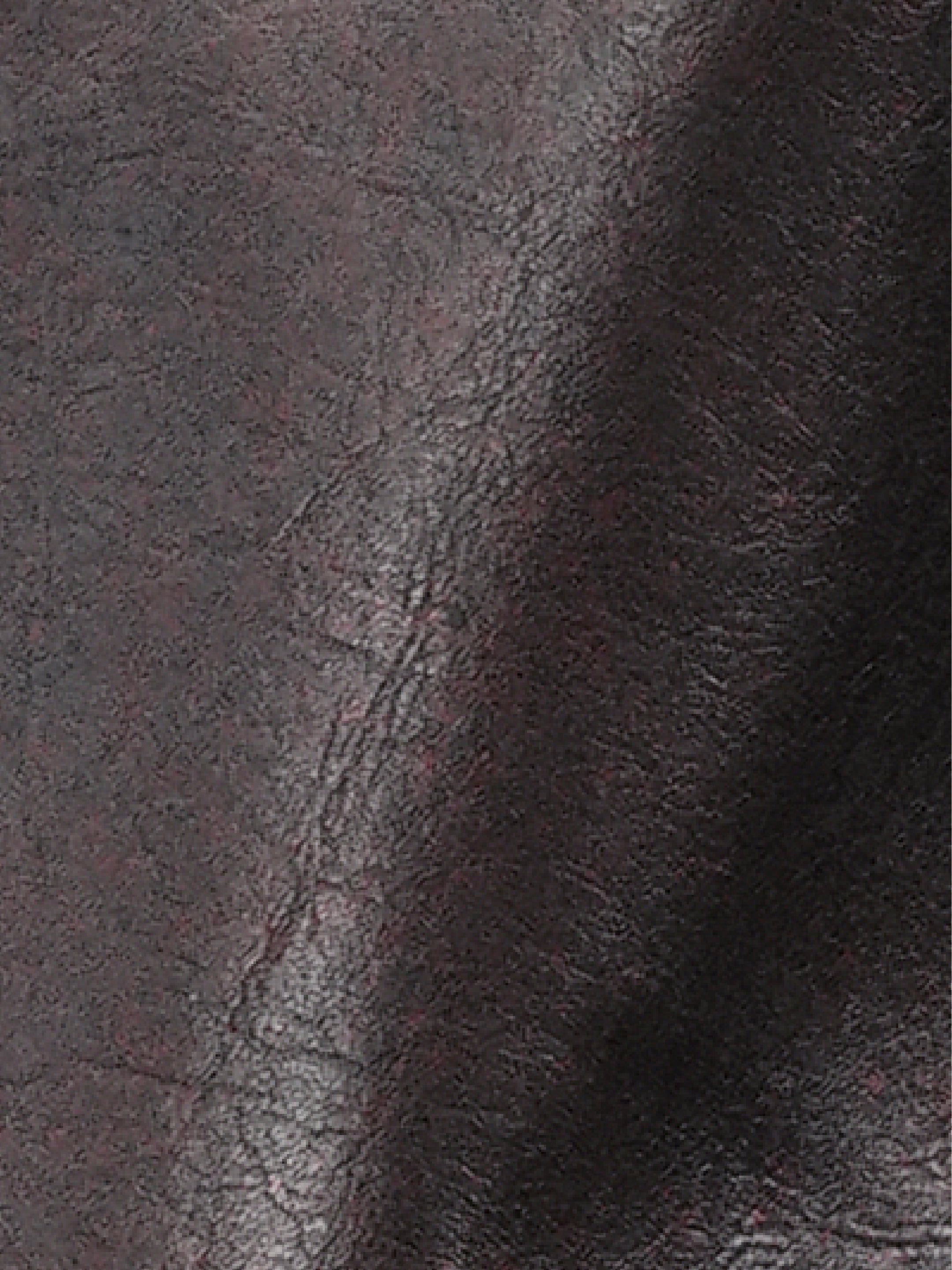 Contemporary Leather Zip Jacket